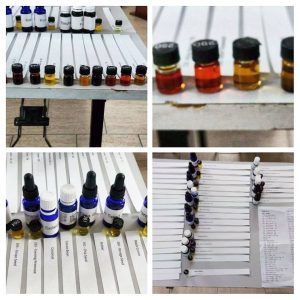 Mark Webb's CO2 Extracts Course