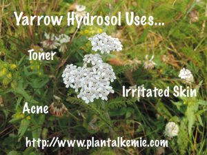 Yarrow Hydrosol Uses