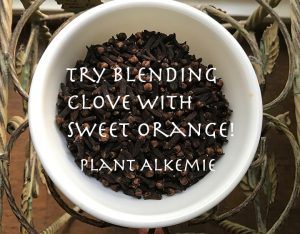 Blend clove with sweet orange!