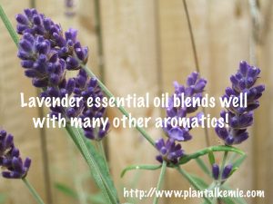 Lavender essential oil blends well with many other aromatics!