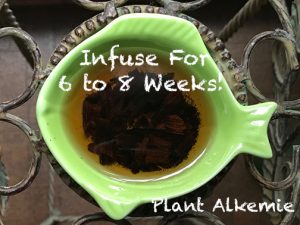 Infusing Vanilla Beans In Fractionated Coconut Oil!