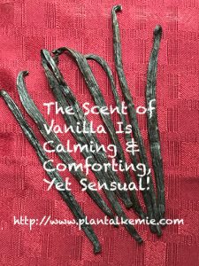 Use vanilla infused oil in aromatherapy, herbalism, and natural skin care products, and perfumes!