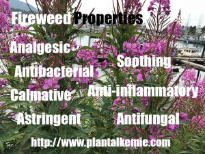 Fireweed Properties