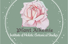 Happy Chinese New Year! A new name, a new logo, and a new beginning….