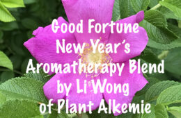 Good Fortune New Year’s Aromatherapy Blend!