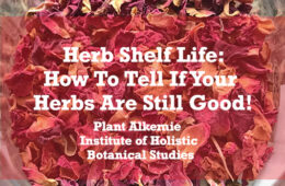 Herb Shelf Life: How To Tell If Your Herbs Are Still Good!
