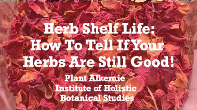 Herb Shelf Life: How To Tell If Your Herbs Are Still Good!