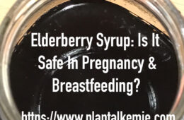 Herbalism Tip: Is Elderberry Safe During Pregnancy And Breastfeeding?